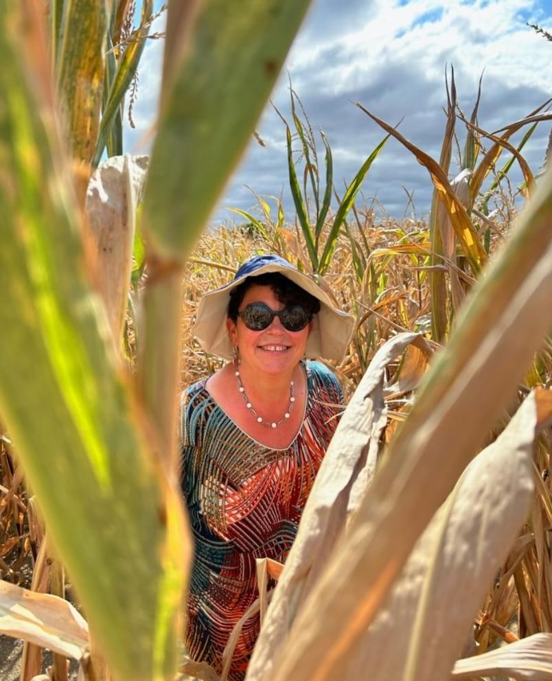  Labyrinthe de laVendée
