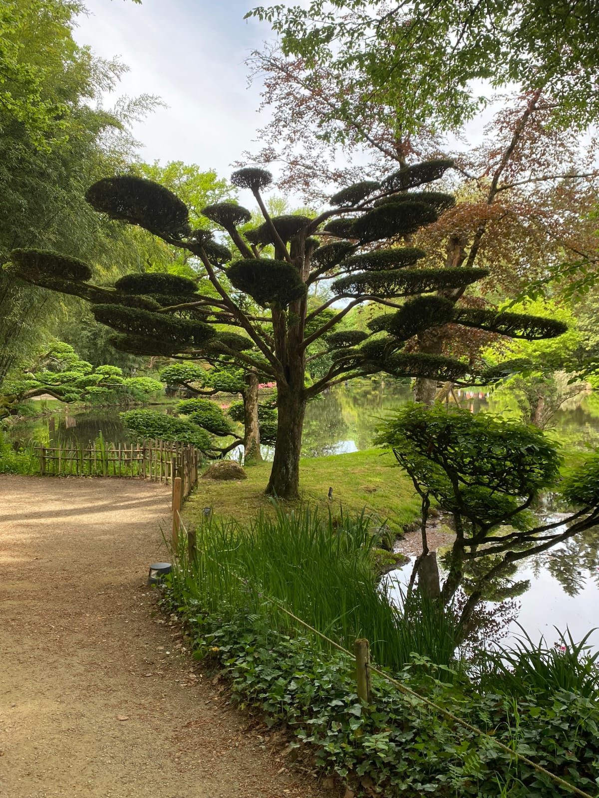 Maulevrier 2 Maulevrier2